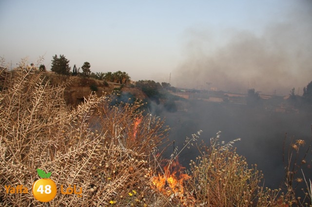 fireina7rashyaffa505 (23).JPG